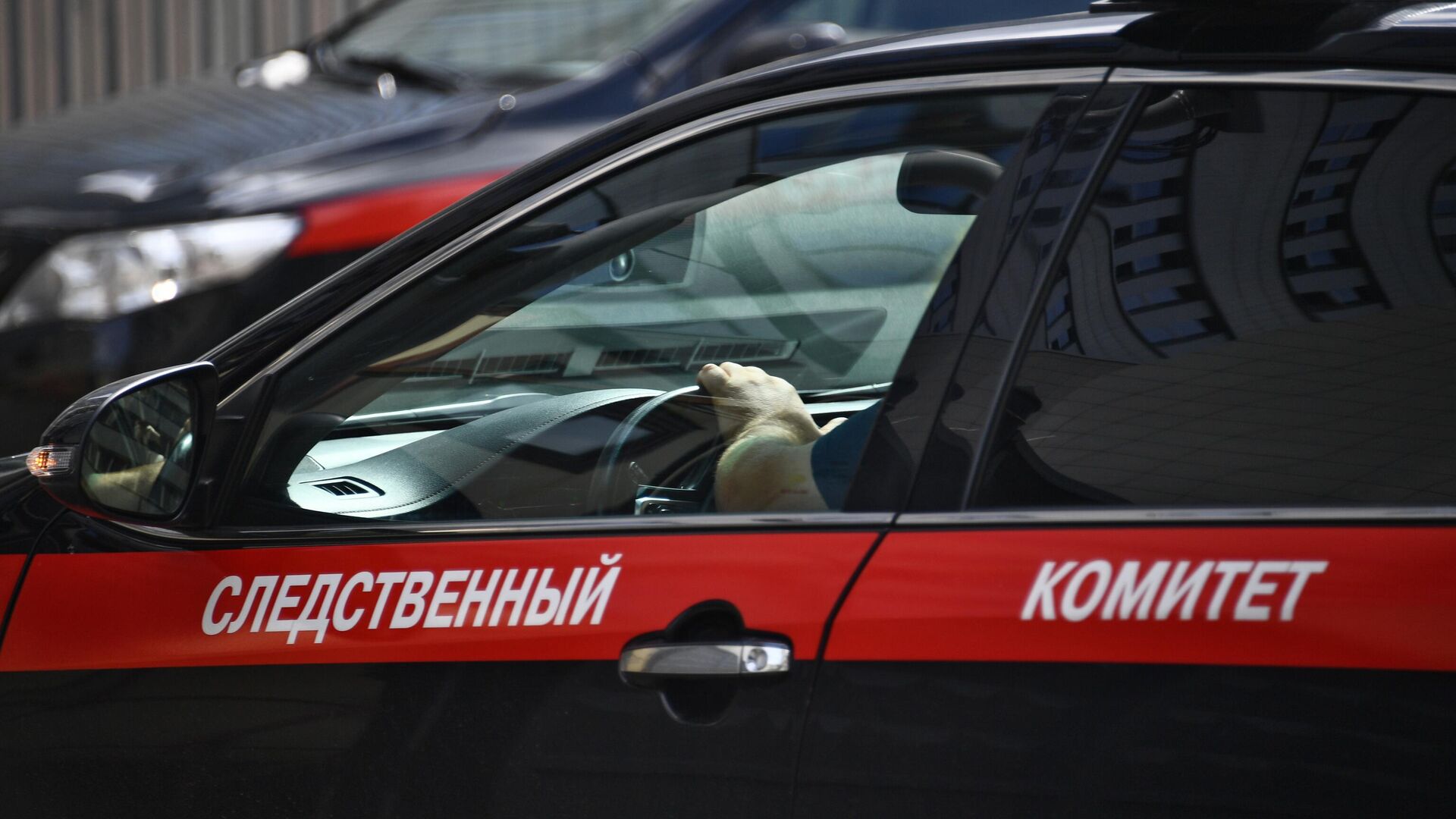 СК возбудил дело после падения дерева на остановку в Новосибирске
